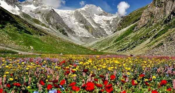 The Best Wildlife Sanctuaries of Uttarakhand - Rentingwaves